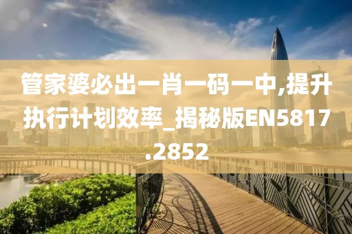 管家婆必出一肖一码一中,提升执行计划效率_揭秘版EN5817.2852