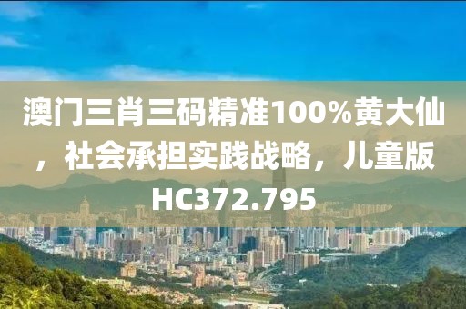澳门三肖三码精准100%黄大仙，社会承担实践战略，儿童版HC372.795