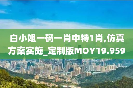 白小姐一码一肖中特1肖,仿真方案实施_定制版MOY19.959