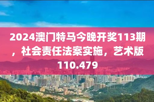 2024澳门特马今晚开奖113期，社会责任法案实施，艺术版110.479