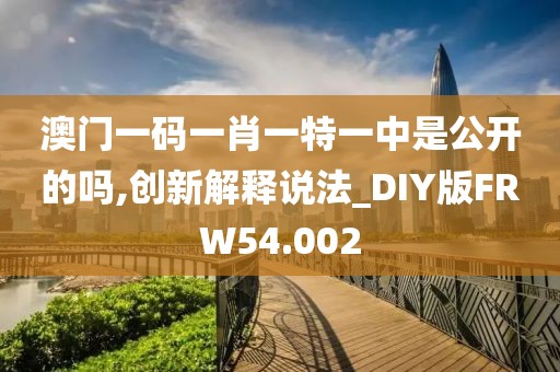 澳门一码一肖一特一中是公开的吗,创新解释说法_DIY版FRW54.002