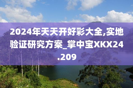 2024年天天开好彩大全,实地验证研究方案_掌中宝XKX24.209