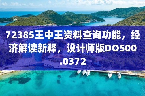 72385王中王资料查询功能，经济解读新释，设计师版DO500.0372