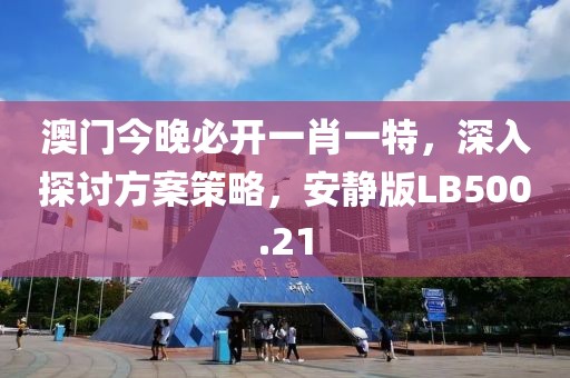 澳门今晚必开一肖一特，深入探讨方案策略，安静版LB500.21