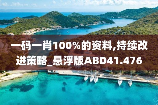 一码一肖100%的资料,持续改进策略_悬浮版ABD41.476