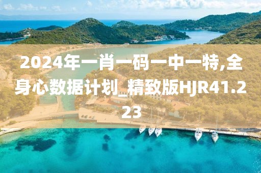 2024年一肖一码一中一特,全身心数据计划_精致版HJR41.223