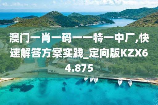 澳门一肖一码一一特一中厂,快速解答方案实践_定向版KZX64.875