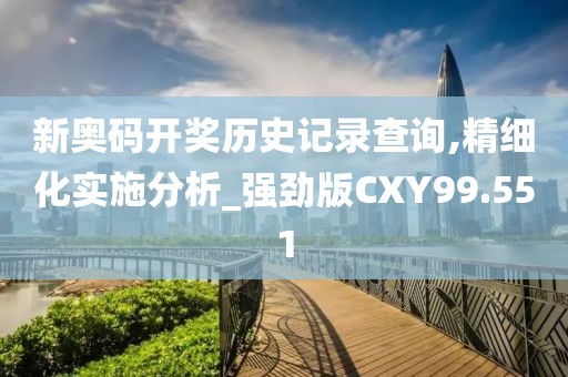 新奥码开奖历史记录查询,精细化实施分析_强劲版CXY99.551
