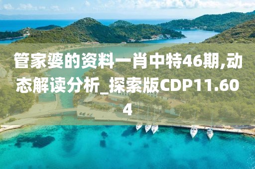 管家婆的资料一肖中特46期,动态解读分析_探索版CDP11.604