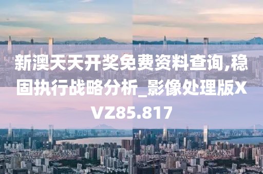 新澳天天开奖免费资料查询,稳固执行战略分析_影像处理版XVZ85.817