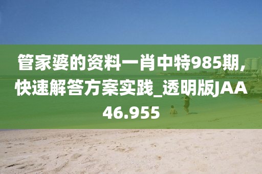 管家婆的资料一肖中特985期,快速解答方案实践_透明版JAA46.955