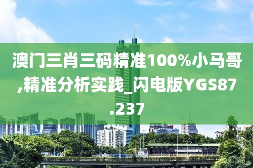 澳门三肖三码精准100%小马哥,精准分析实践_闪电版YGS87.237
