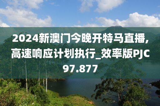 2024新澳门今晚开特马直播,高速响应计划执行_效率版PJC97.877
