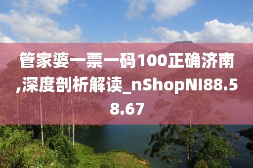 管家婆一票一码100正确济南,深度剖析解读_nShopNI88.58.67