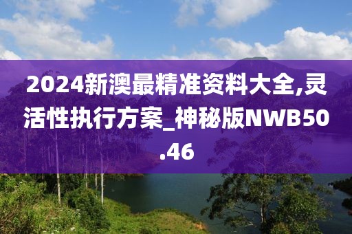 2024新澳最精准资料大全,灵活性执行方案_神秘版NWB50.46