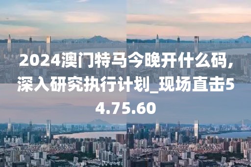 2024澳门特马今晚开什么码,深入研究执行计划_现场直击54.75.60