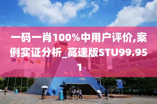 一码一肖100%中用户评价,案例实证分析_高速版STU99.951