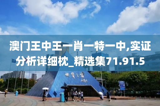 澳门王中王一肖一特一中,实证分析详细枕_精选集71.91.5