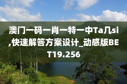 澳门一码一肖一特一中Ta几si,快速解答方案设计_动感版BET19.256