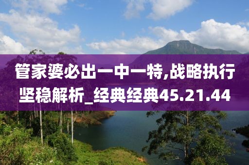 管家婆必出一中一特,战略执行坚稳解析_经典经典45.21.44