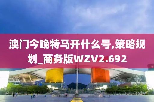 澳门今晚特马开什么号,策略规划_商务版WZV2.692