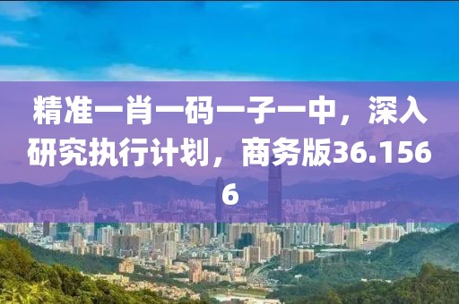 精准一肖一码一子一中，深入研究执行计划，商务版36.1566