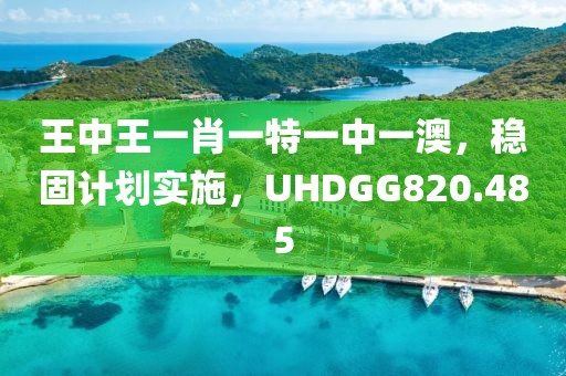 王中王一肖一特一中一澳，稳固计划实施，UHDGG820.485