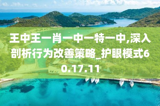 王中王一肖一中一特一中,深入剖析行为改善策略_护眼模式60.17.11