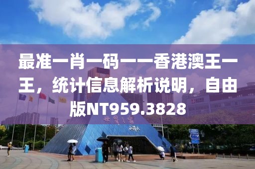 最准一肖一码一一香港澳王一王，统计信息解析说明，自由版NT959.3828