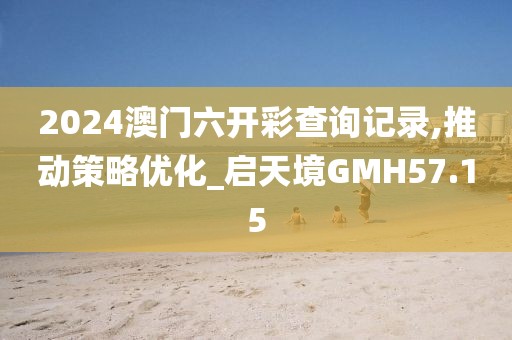 2024澳门六开彩查询记录,推动策略优化_启天境GMH57.15