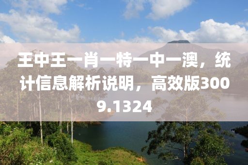 王中王一肖一特一中一澳，统计信息解析说明，高效版3009.1324