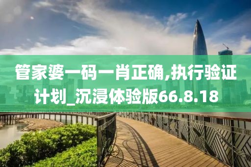 管家婆一码一肖正确,执行验证计划_沉浸体验版66.8.18