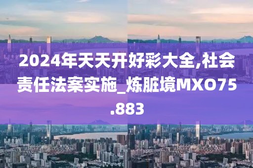 2024年天天开好彩大全,社会责任法案实施_炼脏境MXO75.883