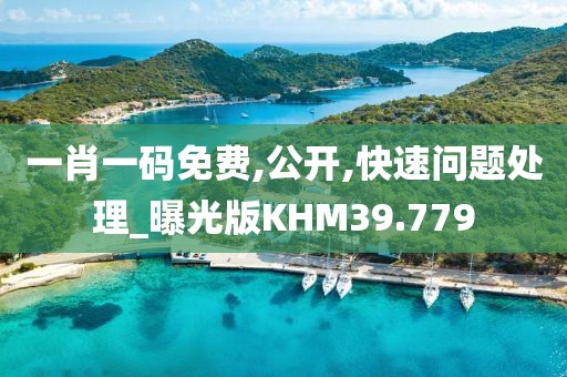一肖一码免费,公开,快速问题处理_曝光版KHM39.779
