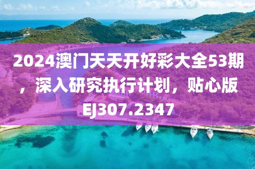 2024澳门天天开好彩大全53期，深入研究执行计划，贴心版EJ307.2347