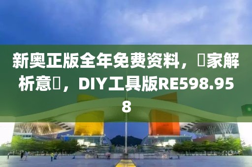 新奥正版全年免费资料，專家解析意見，DIY工具版RE598.958