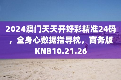 2024澳门天天开好彩精准24码，全身心数据指导枕，商务版KNB10.21.26