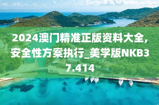 2024澳门精准正版资料大全,安全性方案执行_美学版NKB37.414