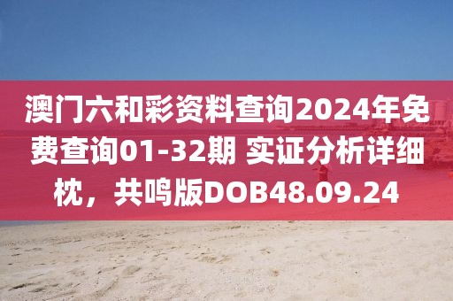澳门六和彩资料查询2024年免费查询01-32期 实证分析详细枕，共鸣版DOB48.09.24