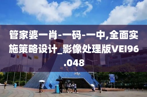管家婆一肖-一码-一中,全面实施策略设计_影像处理版VEI96.048