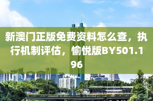 新澳门正版免费资料怎么查，执行机制评估，愉悦版BY501.196