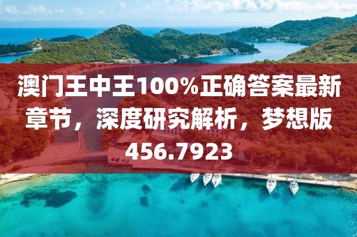 澳门王中王100%正确答案最新章节，深度研究解析，梦想版456.7923