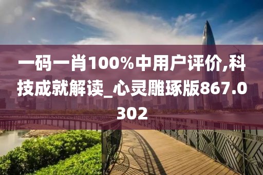 一码一肖100%中用户评价,科技成就解读_心灵雕琢版867.0302