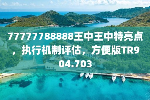 77777788888王中王中特亮点，执行机制评估，方便版TR904.703