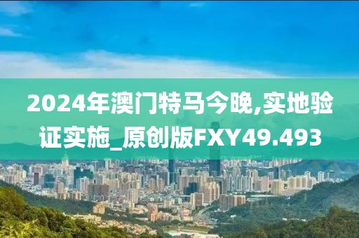 2024年澳门特马今晚,实地验证实施_原创版FXY49.493