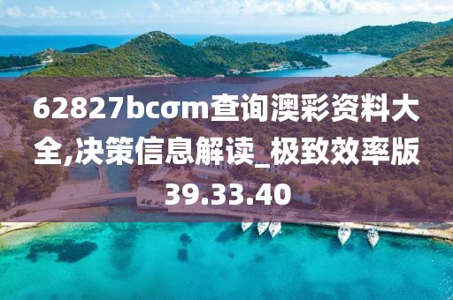 62827bcσm查询澳彩资料大全,决策信息解读_极致效率版39.33.40