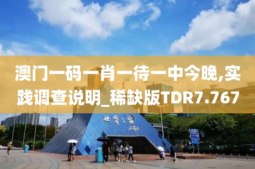 澳门一码一肖一待一中今晚,实践调查说明_稀缺版TDR7.767