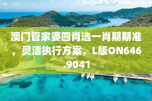 澳门管家婆四肖选一肖期期准，灵活执行方案，L版ON646.9041