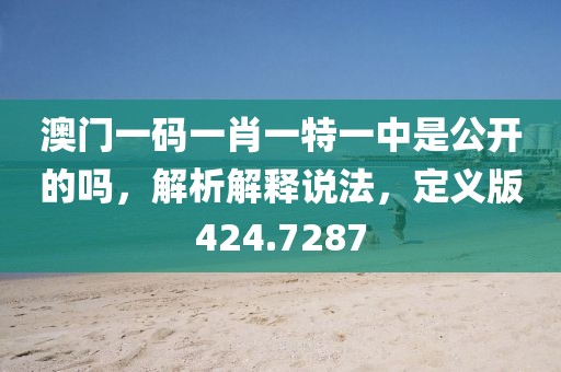 澳门一码一肖一特一中是公开的吗，解析解释说法，定义版424.7287