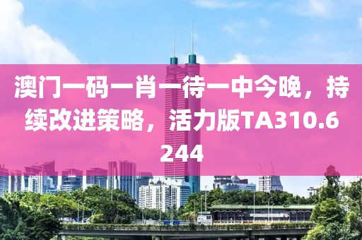 澳门一码一肖一待一中今晚，持续改进策略，活力版TA310.6244
